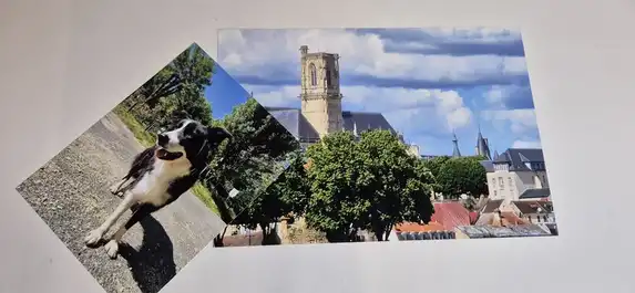 Fotovergrößerungen auf starkem Papier mit satten Farben und schneller Lieferung.