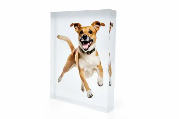 Hintergrund entfernen sorgt für einen freistehenden Effekt im Acrylblock.