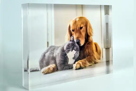 Tausende Haustiere, darunter viele Hunde und Katzen, wurden mittlerweile von unserem Fotolabor in einem Arylblock verewigt.