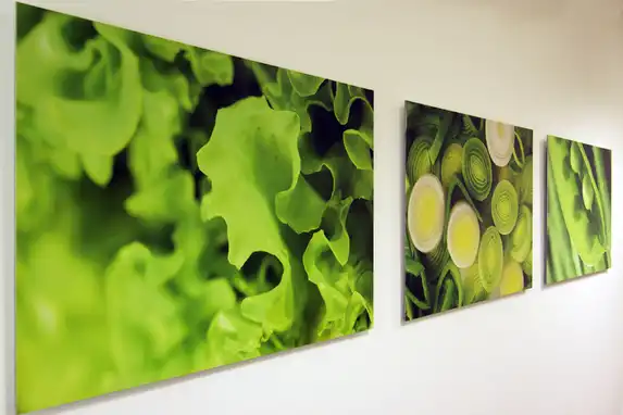 Canon-Fotos auf Aluminium von Fotogeschenk verfügen über eine hervorragende High-End-Verarbeitung.