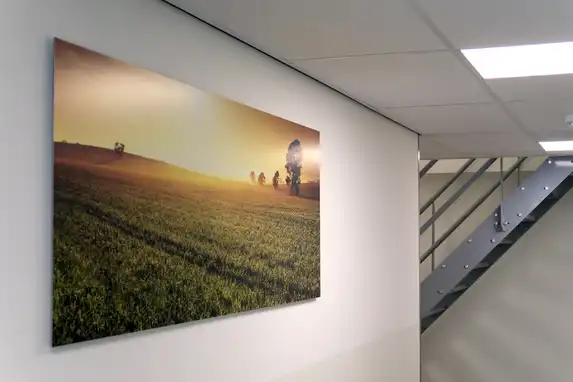 Auch leuchtende Farben kommen auf dem auf 1mm Aluminium geklebten Foto perfekt zur Geltung.