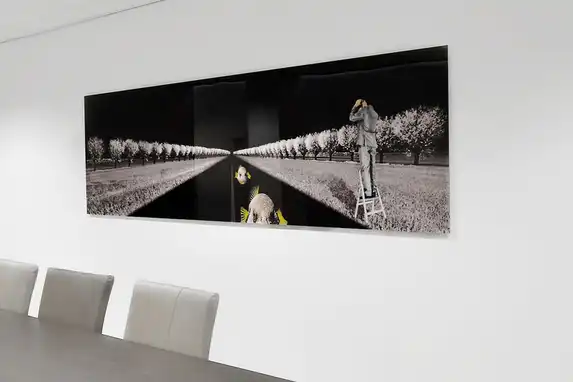 Bildende Künstler wie Carina Dumais entscheiden sich hier oft für das hinter Plexiglas geklebte Foto.